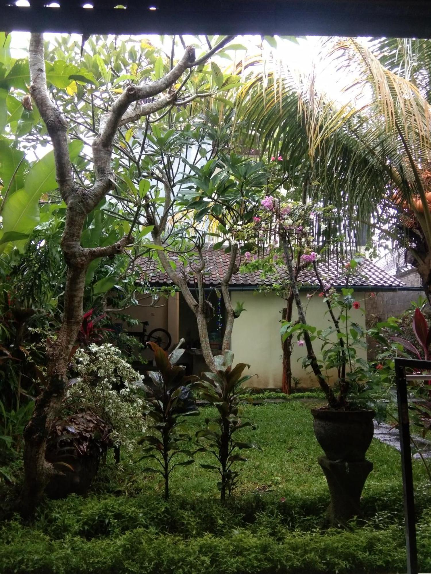 Pondok Gepokan Homestay ウブド エクステリア 写真