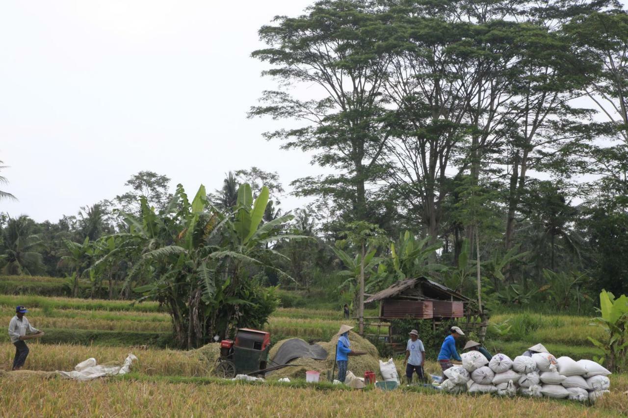 Pondok Gepokan Homestay ウブド エクステリア 写真