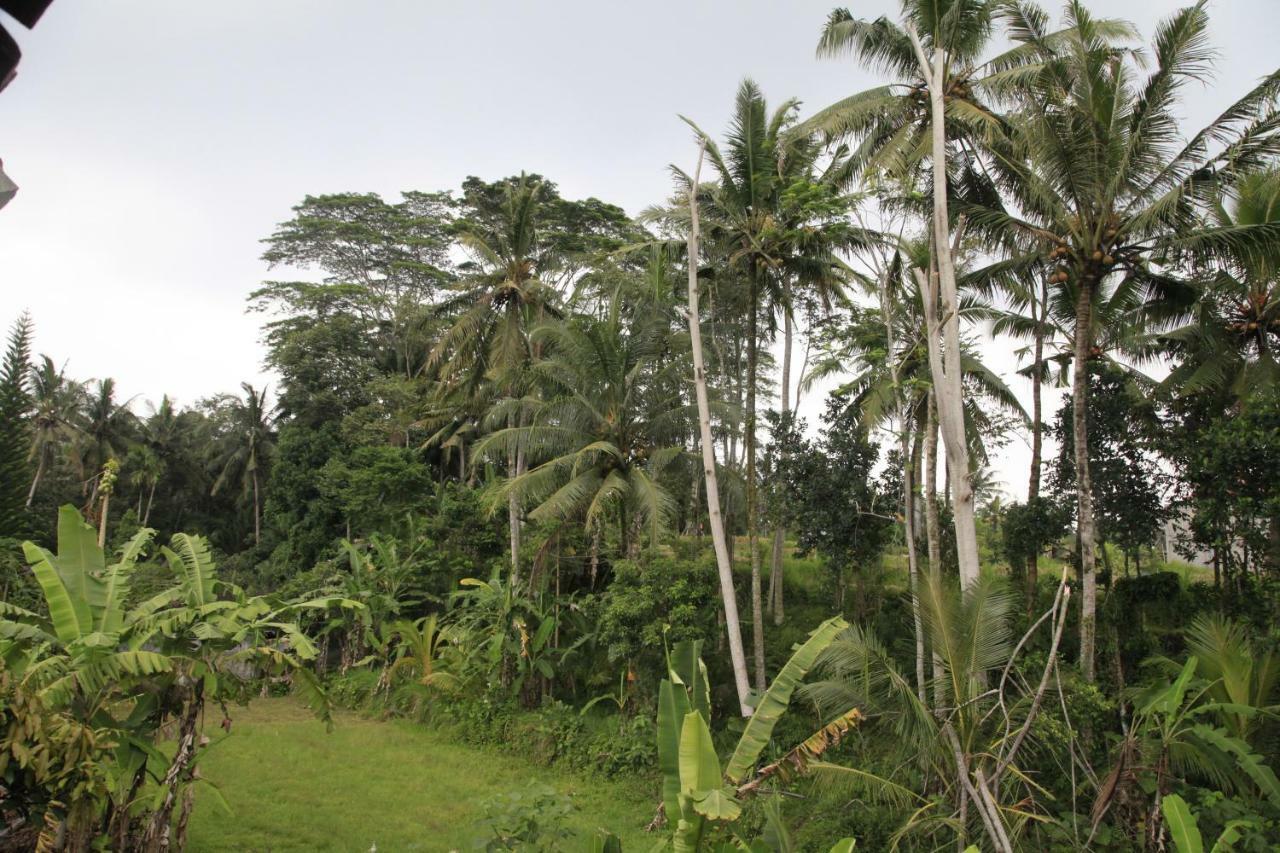 Pondok Gepokan Homestay ウブド エクステリア 写真