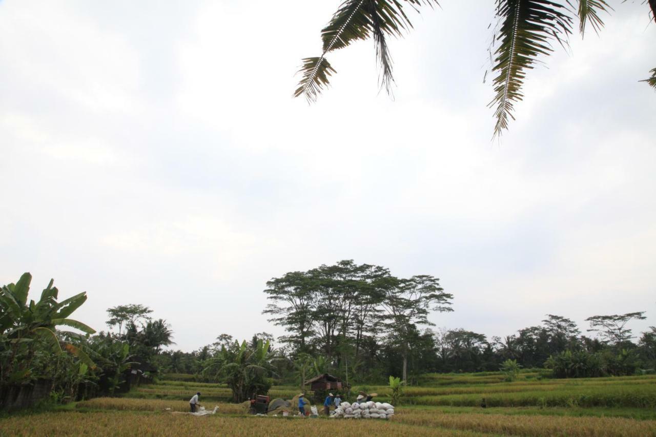 Pondok Gepokan Homestay ウブド エクステリア 写真